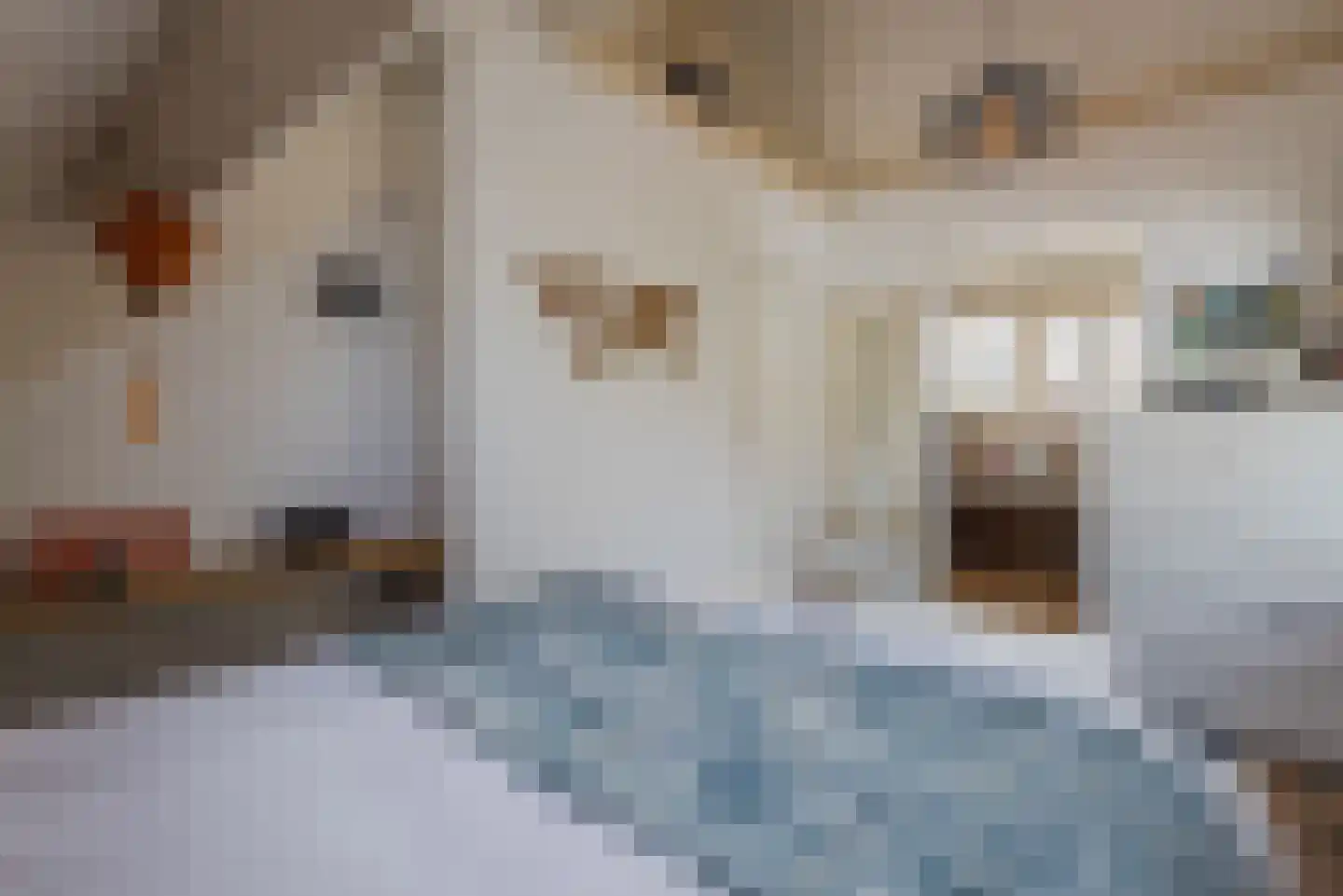 Beukenlaan 7 Harderwijk thumbnail 49