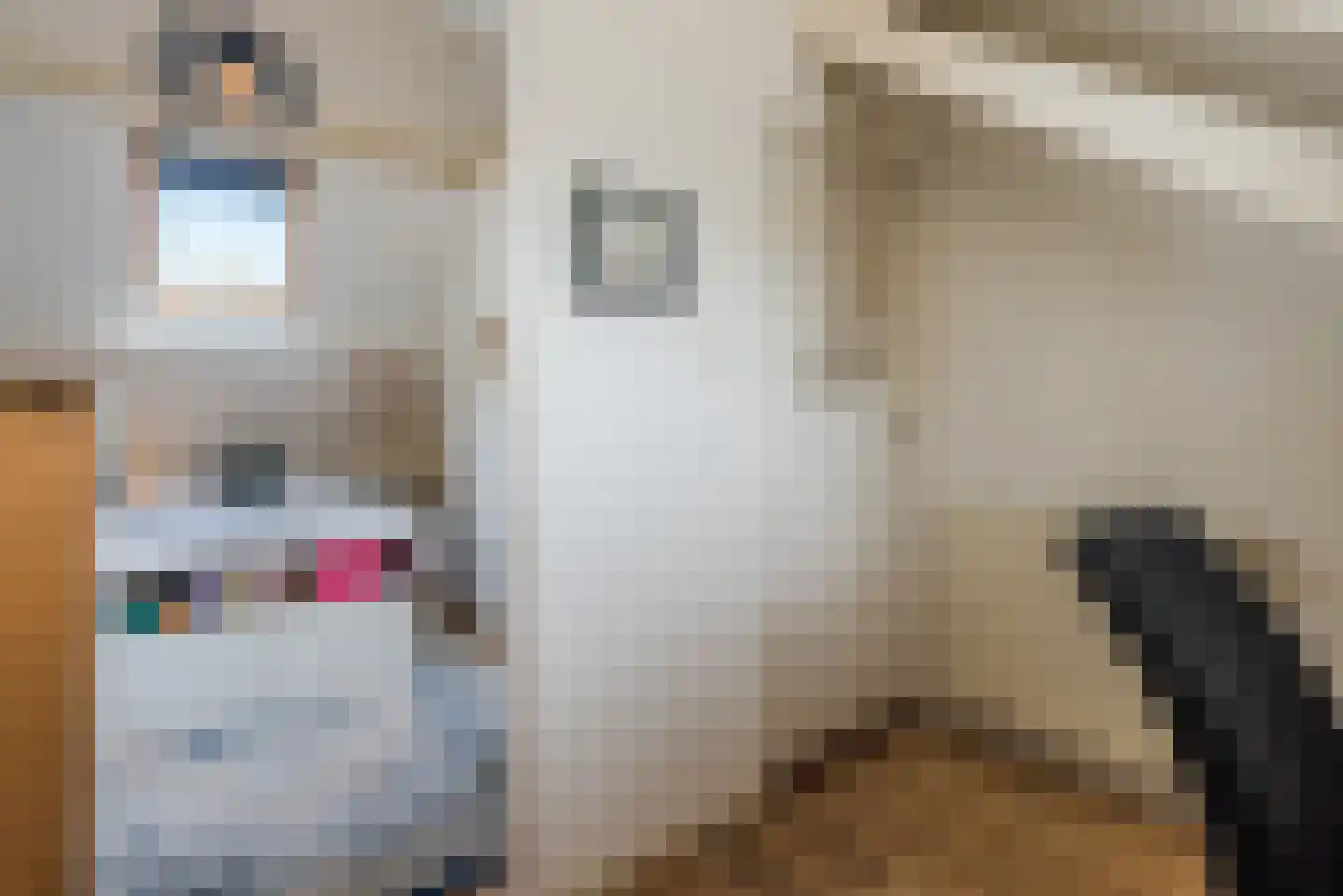Beukenlaan 7 Harderwijk thumbnail 50