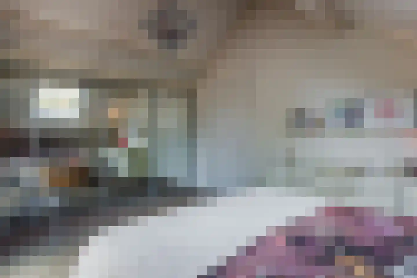 Beukenlaan 7 Harderwijk thumbnail 58