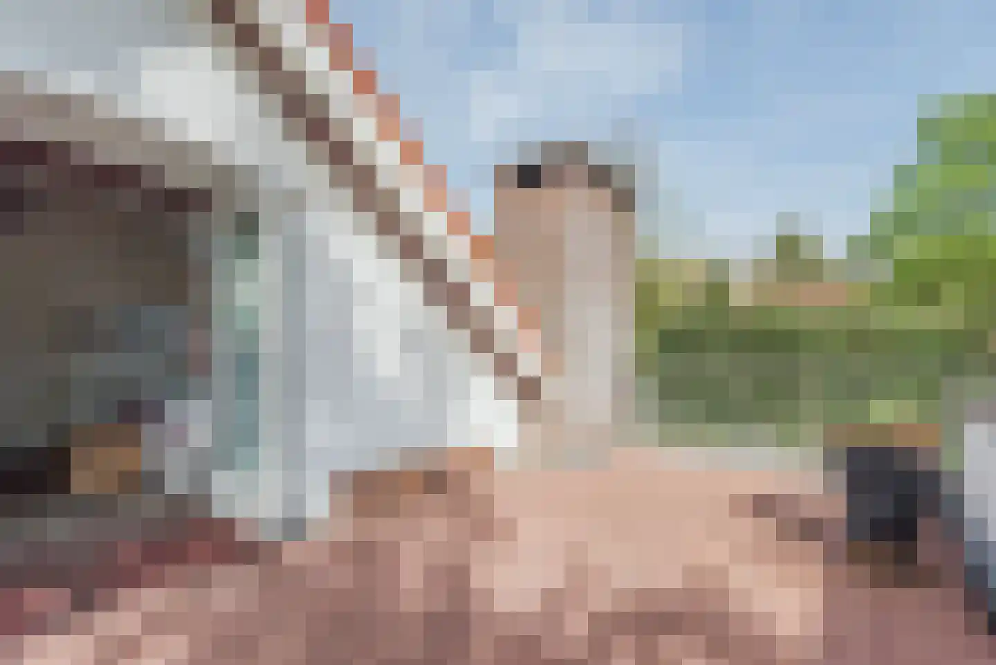 Beukenlaan 7 Harderwijk thumbnail 61