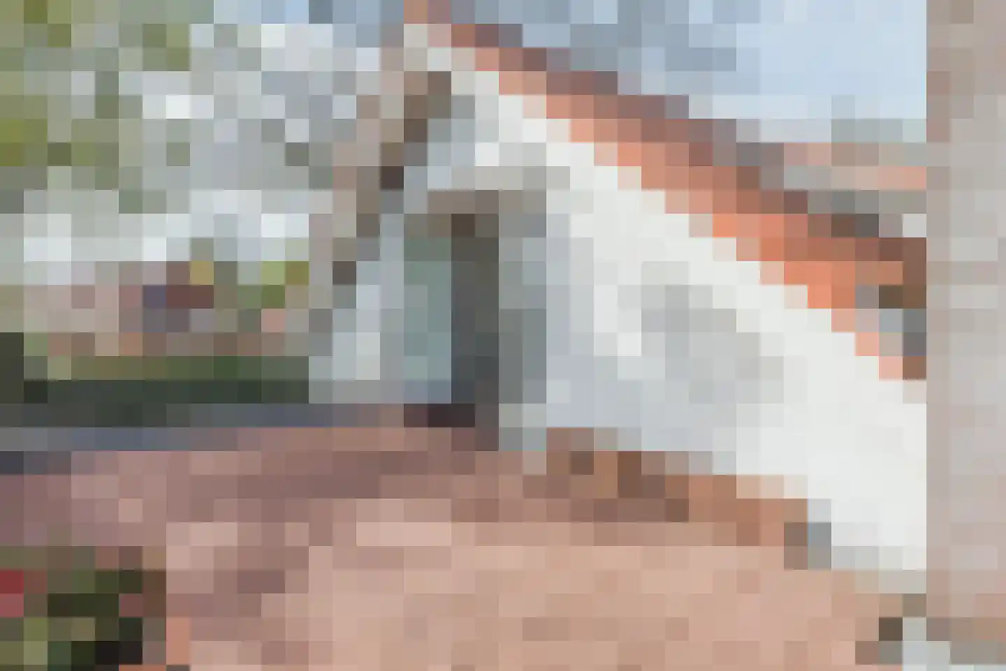 Beukenlaan 7 Harderwijk thumbnail 62