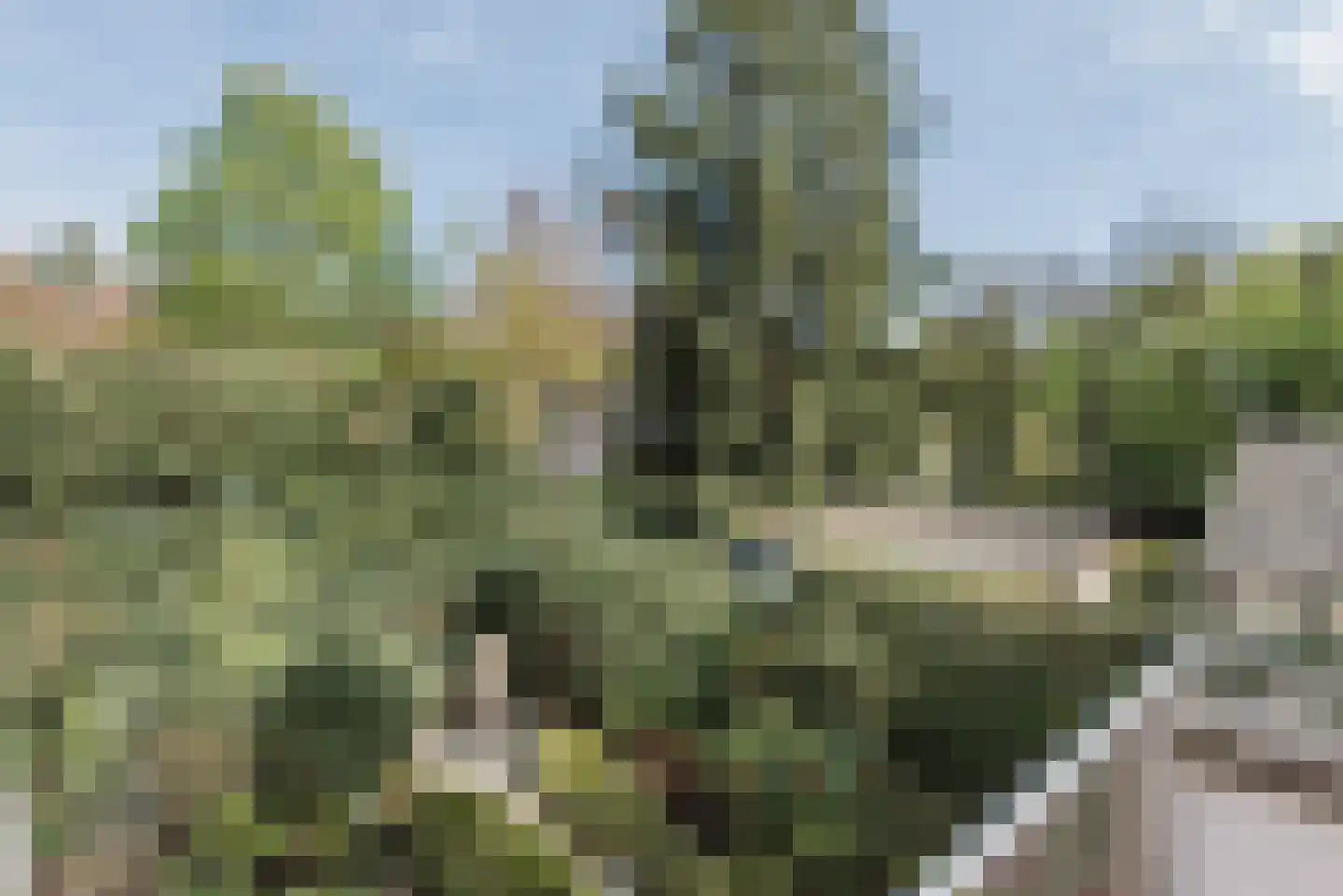 Beukenlaan 7 Harderwijk thumbnail 64