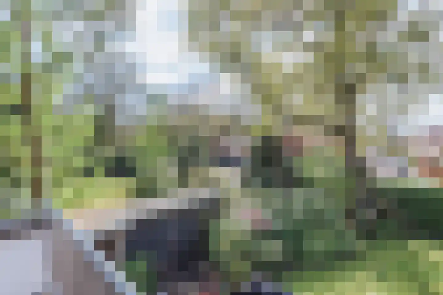 Beukenlaan 7 Harderwijk thumbnail 66