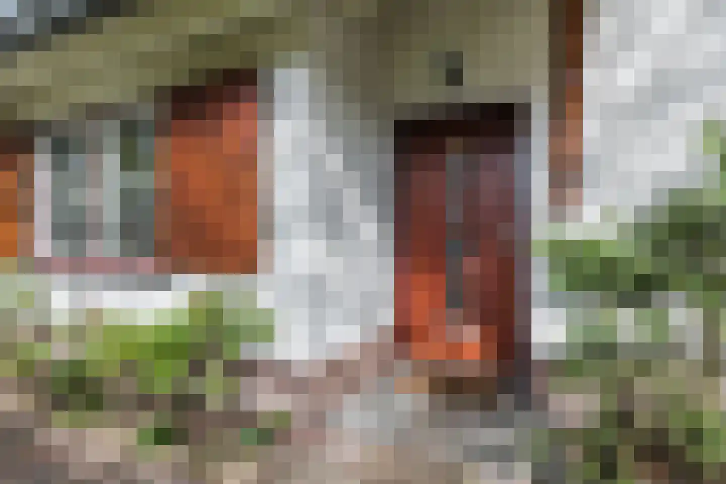 Beukenlaan 7 Harderwijk thumbnail 7