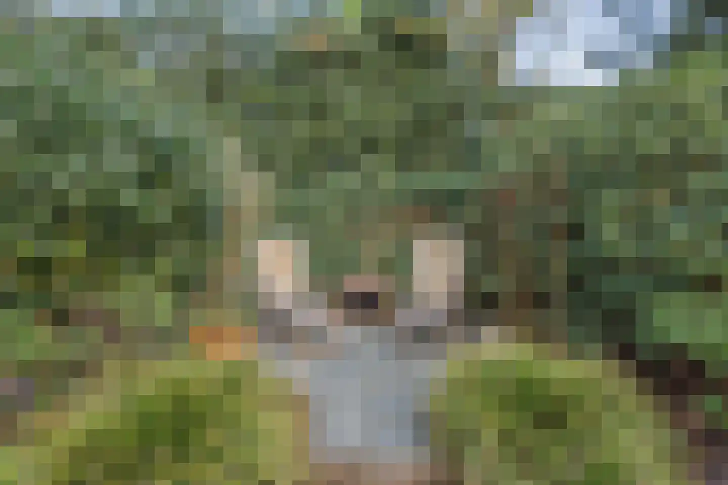 Beukenlaan 7 Harderwijk thumbnail 77