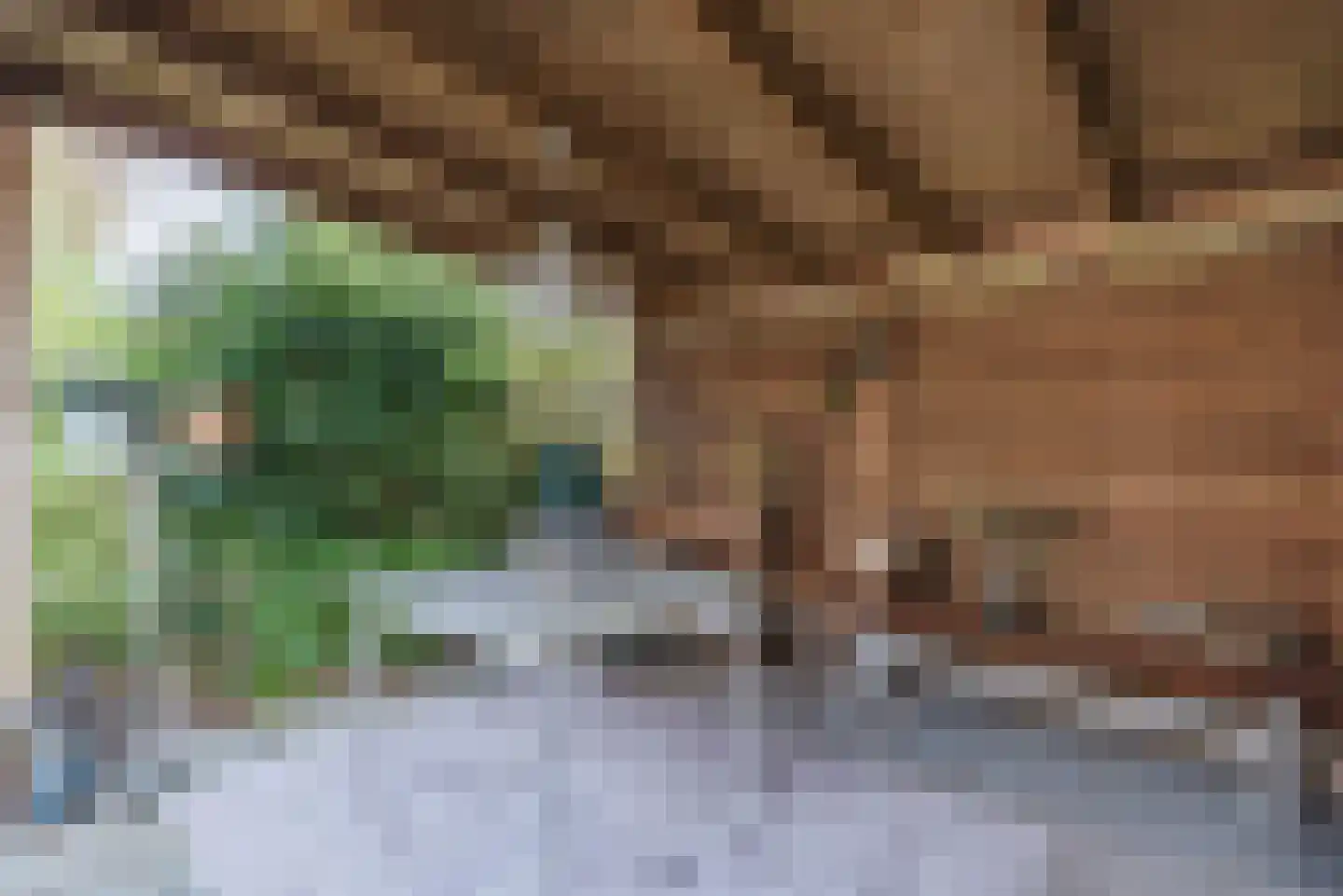 Beukenlaan 7 Harderwijk thumbnail 81