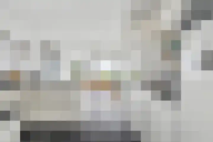 Beukenlaan 7 Kamperland thumbnail 11