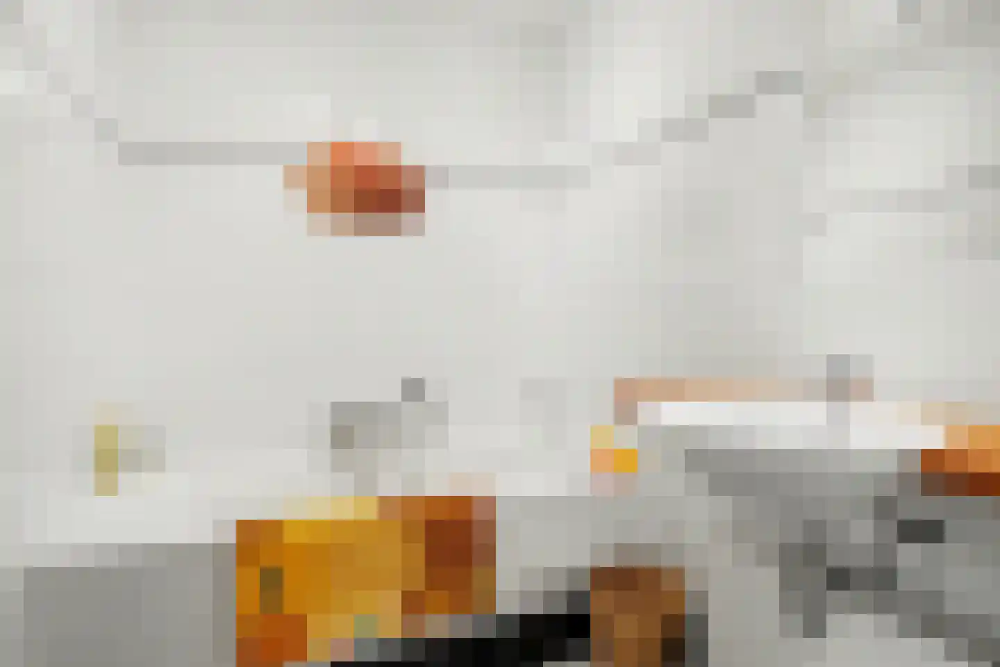 Beukenlaan 7 Kamperland thumbnail 16