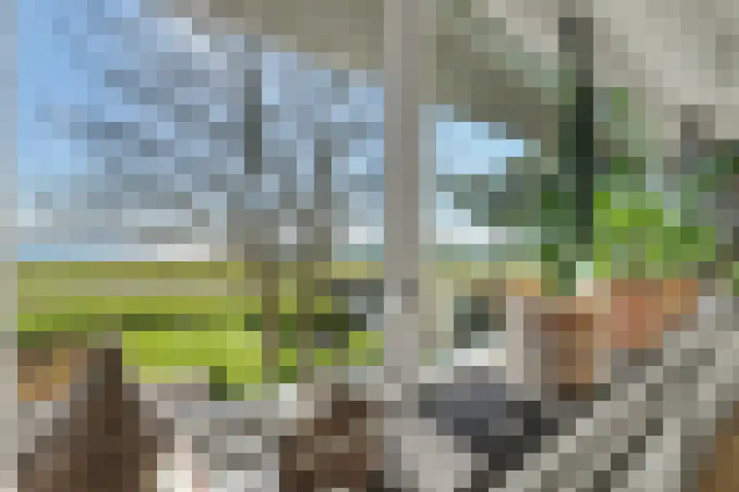 Beukenlaan 7 Kamperland thumbnail 20