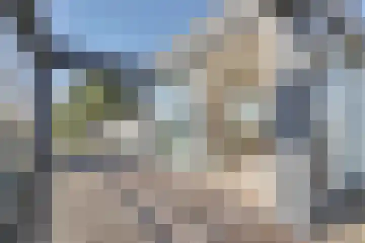 Beukenlaan 7 Kamperland thumbnail 24