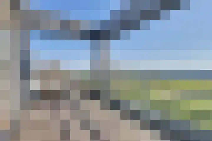 Beukenlaan 7 Kamperland thumbnail 25
