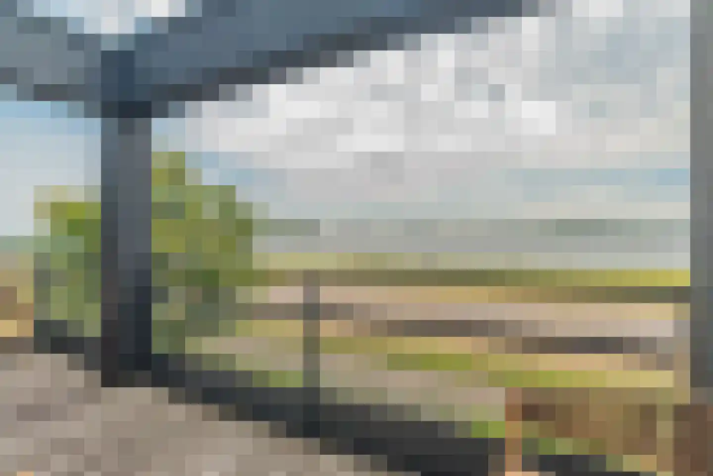 Beukenlaan 7 Kamperland thumbnail 27