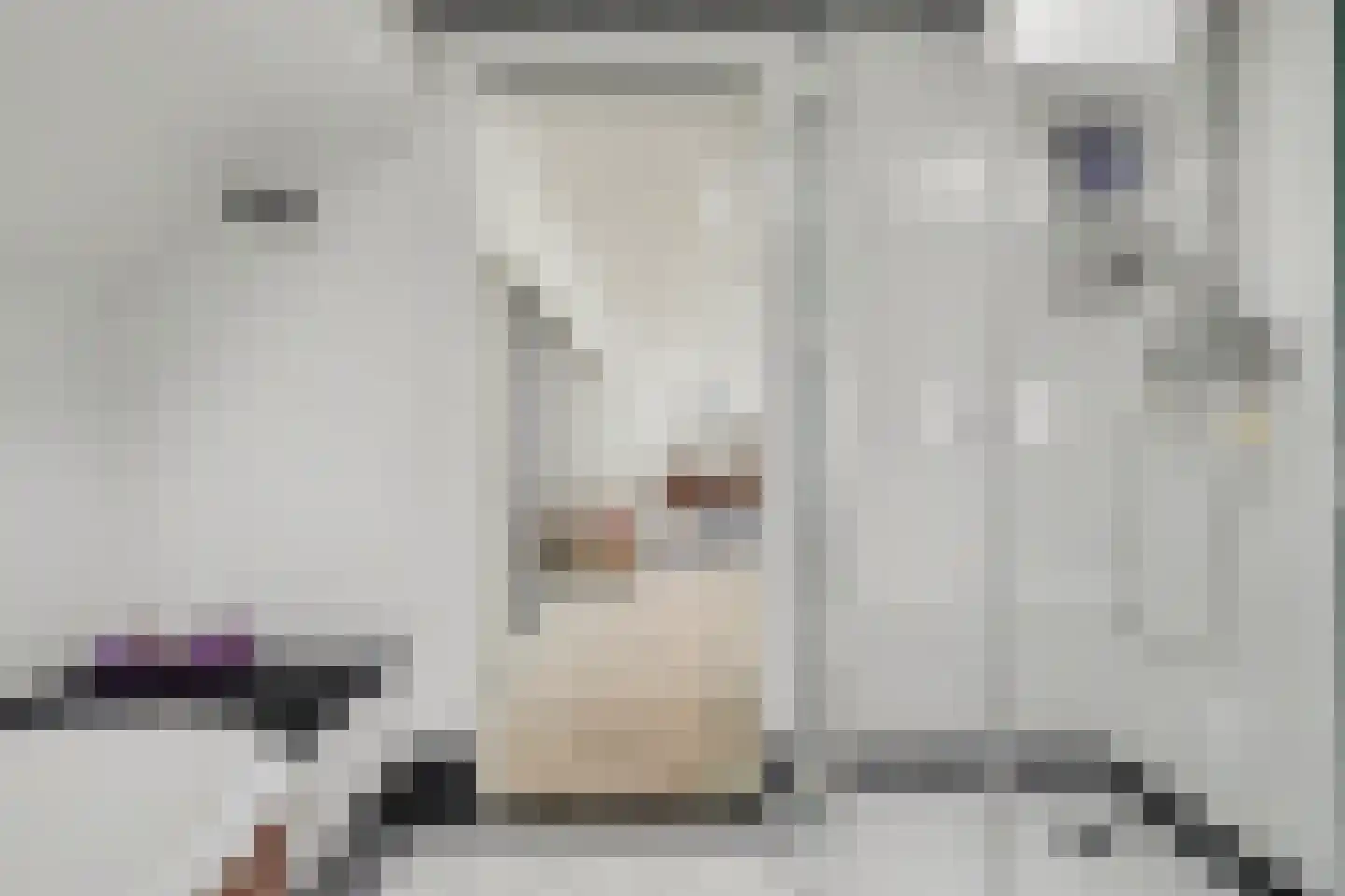 Beukenlaan 7 Kamperland thumbnail 30
