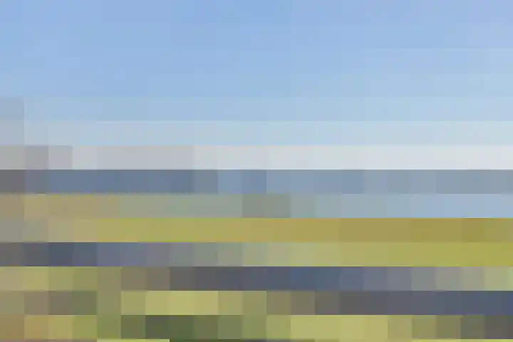 Beukenlaan 7 Kamperland thumbnail 31