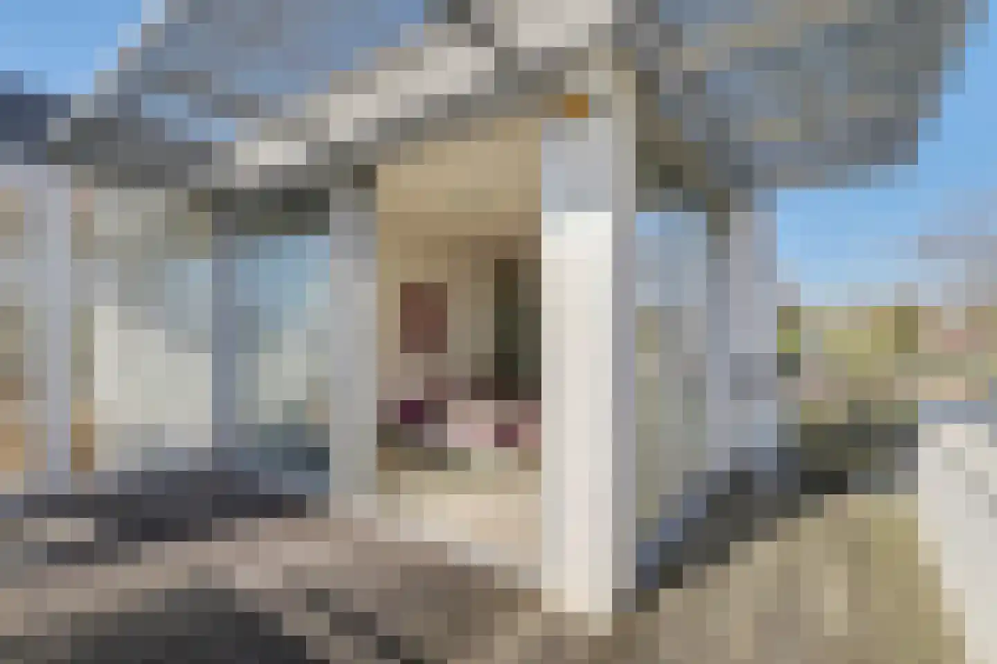 Beukenlaan 7 Kamperland thumbnail 31
