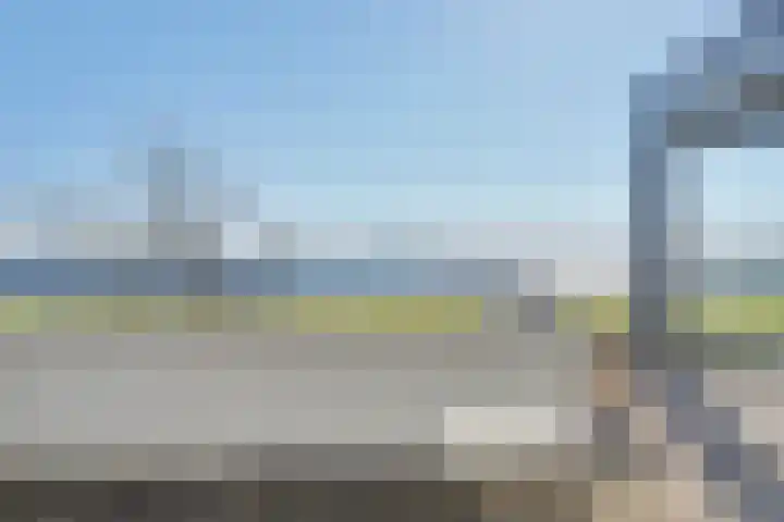 Beukenlaan 7 Kamperland thumbnail 32