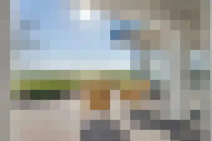 Beukenlaan 7 Kamperland thumbnail 33