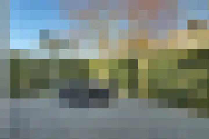 Beukenlaan 7 Kamperland thumbnail 34
