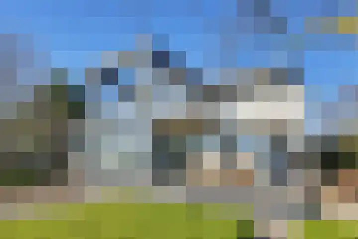 Beukenlaan 7 Kamperland thumbnail 35