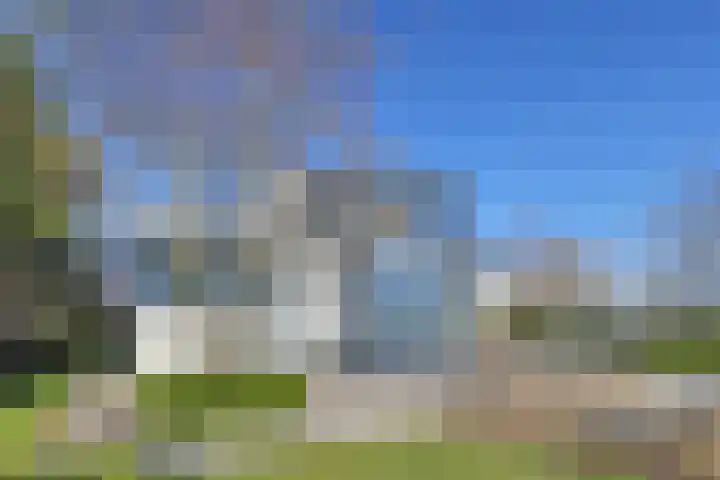 Beukenlaan 7 Kamperland thumbnail 36