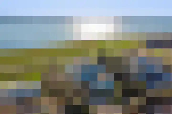 Beukenlaan 7 Kamperland thumbnail 38