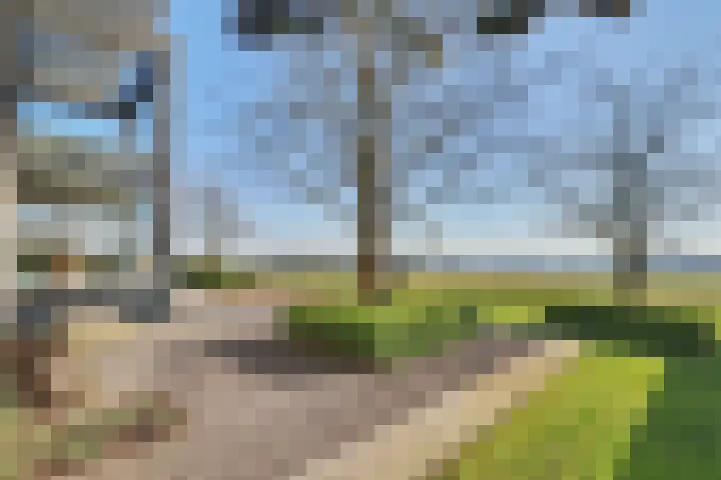 Beukenlaan 7 Kamperland thumbnail 4