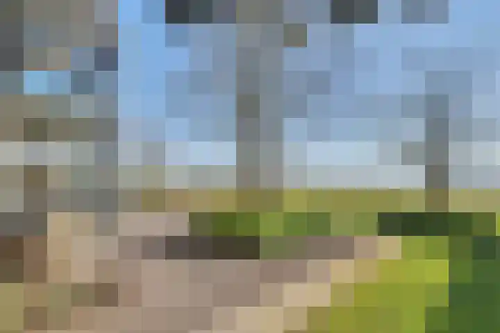 Beukenlaan 7 Kamperland thumbnail 4