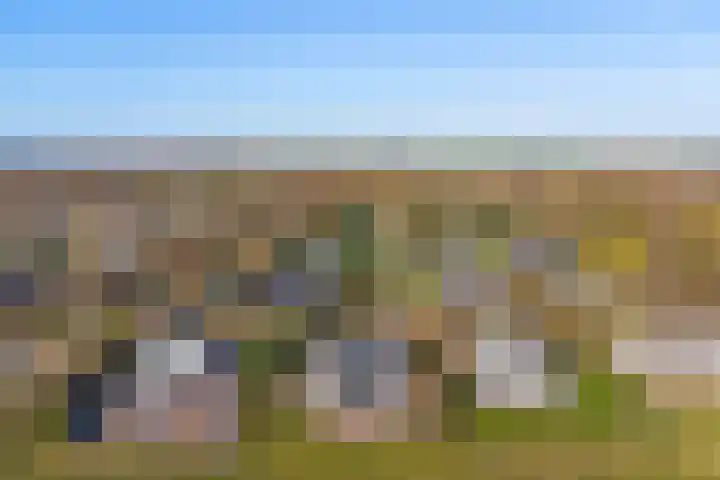 Beukenlaan 7 Kamperland thumbnail 40