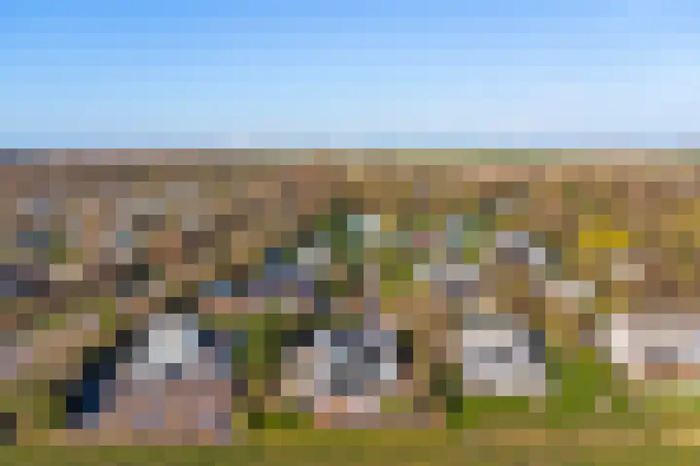 Beukenlaan 7 Kamperland thumbnail 40