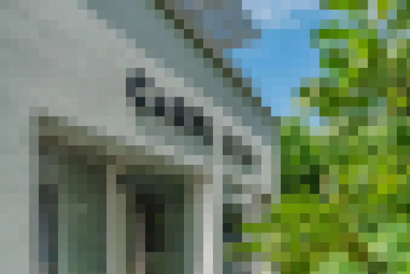 Beukenlaan 7 Kamperland thumbnail 41