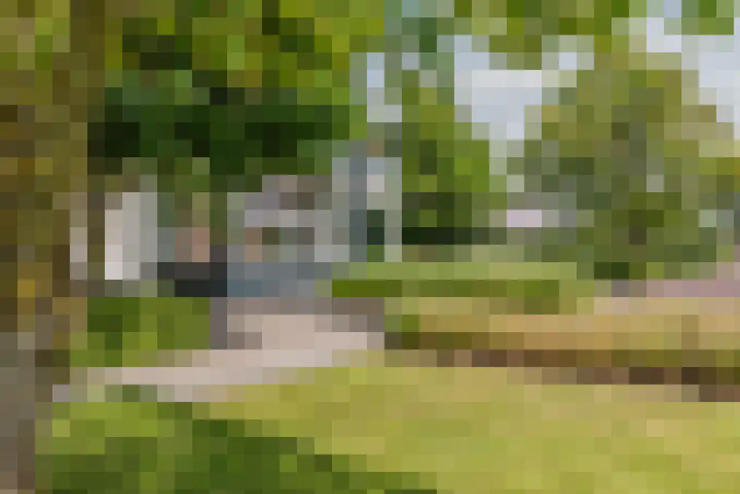 Beukenlaan 7 Kamperland thumbnail 42