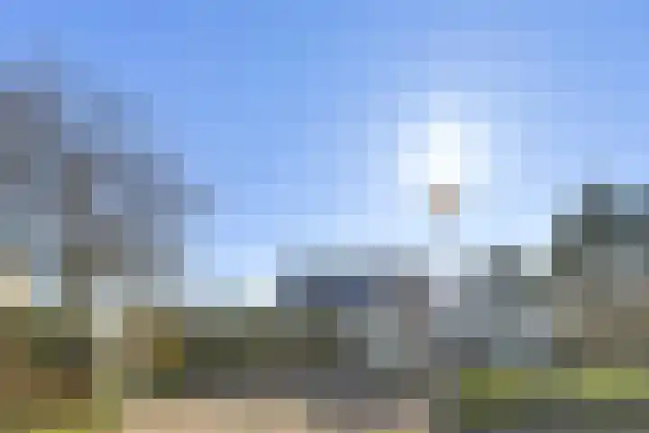 Beukenlaan 7 Kamperland thumbnail 5