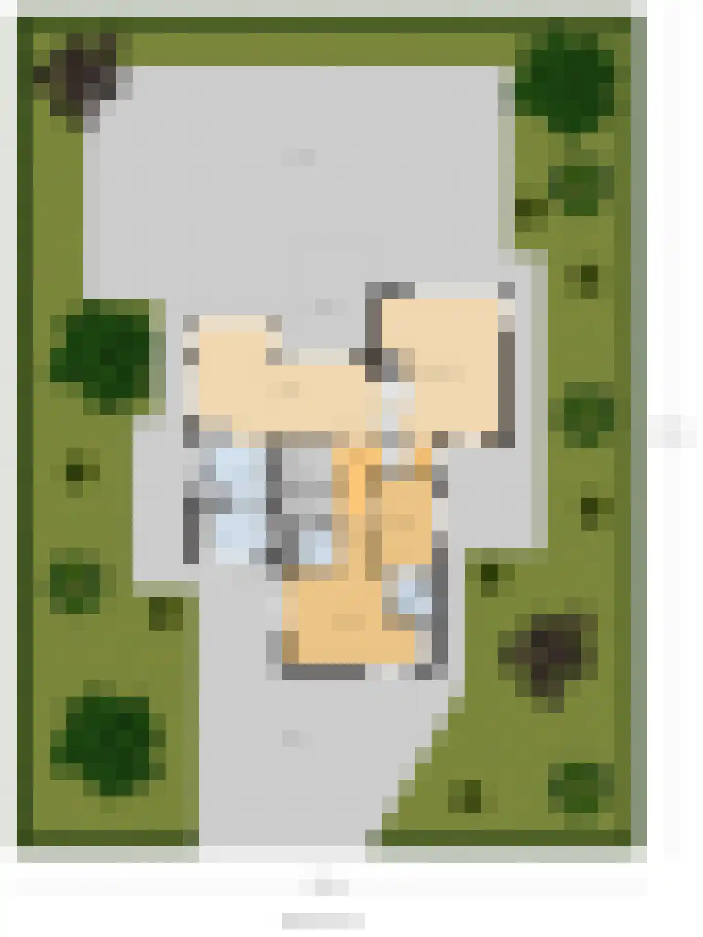 Beukenlaan 7 Kamperland thumbnail 51