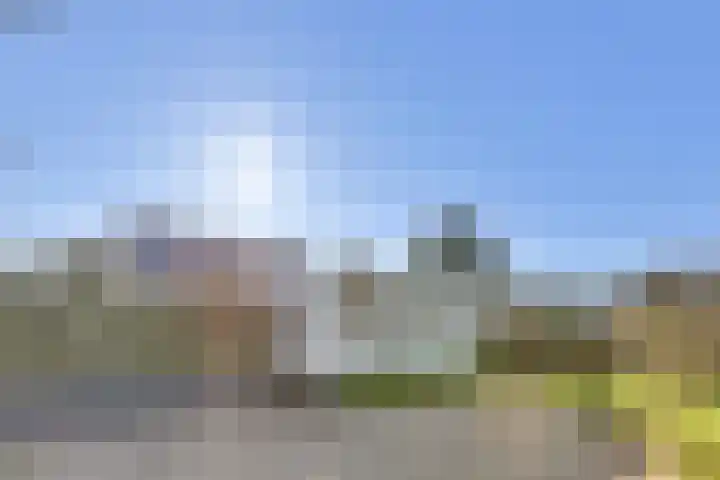Beukenlaan 7 Kamperland thumbnail 6