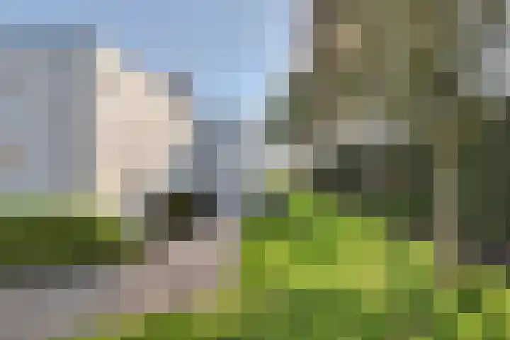 Beukenlaan 7 Kamperland thumbnail 7