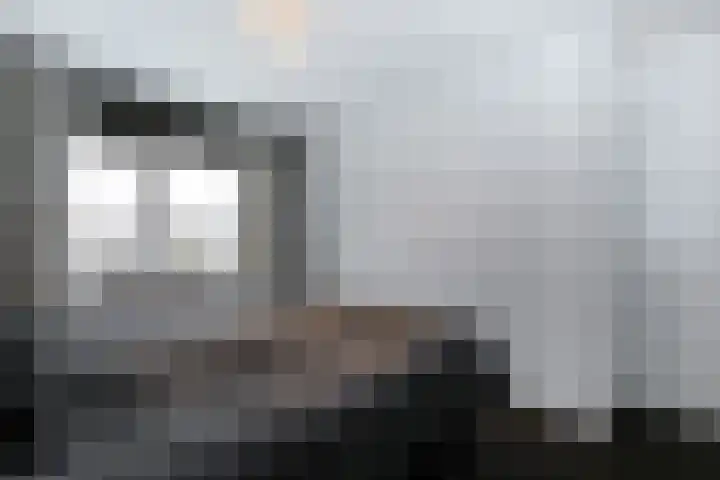 Beukenlaan 7 Nijkerk thumbnail 16
