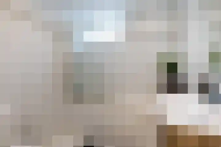 Beukenlaan 7 Nijkerk thumbnail 20
