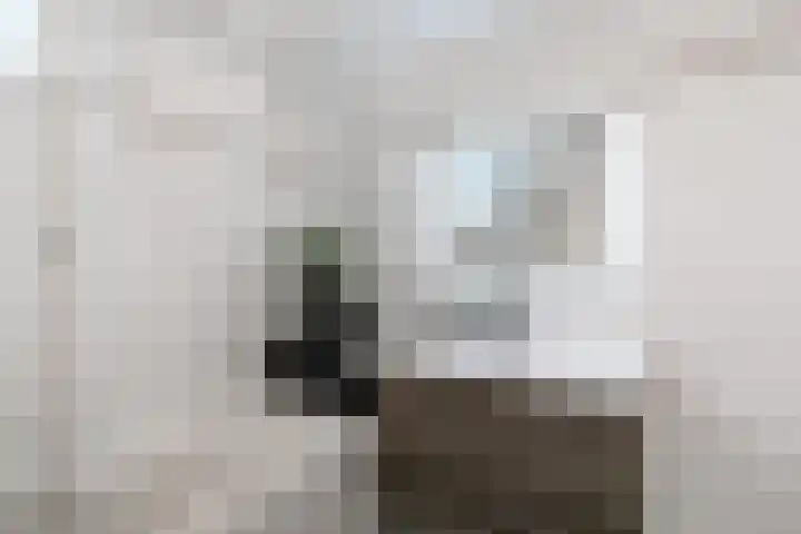 Beukenlaan 7 Nijkerk thumbnail 22