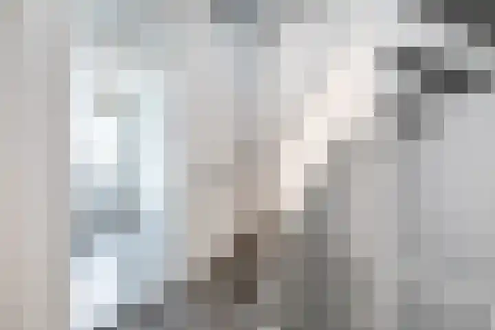 Beukenlaan 7 Nijkerk thumbnail 24