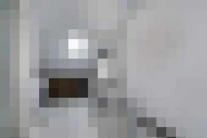 Beukenlaan 7 Nijkerk thumbnail 25