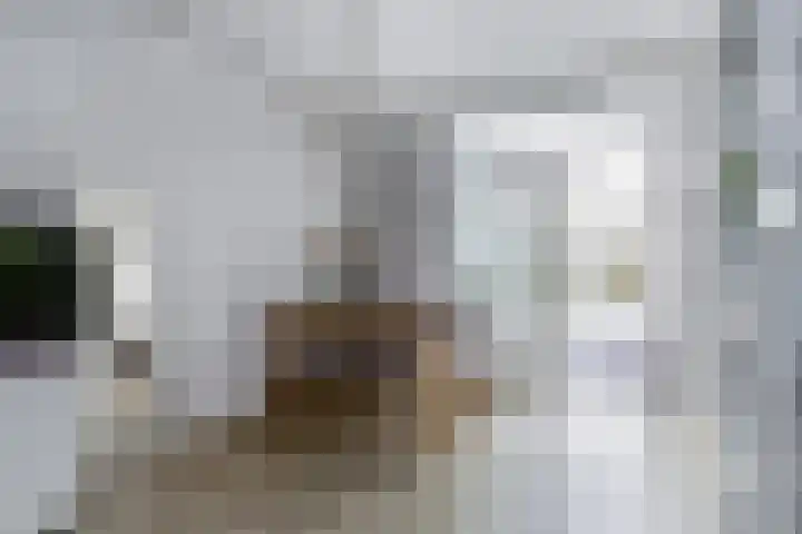 Beukenlaan 7 Nijkerk thumbnail 7