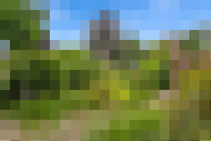 Beukenlaan 7 Oudenbosch thumbnail 10