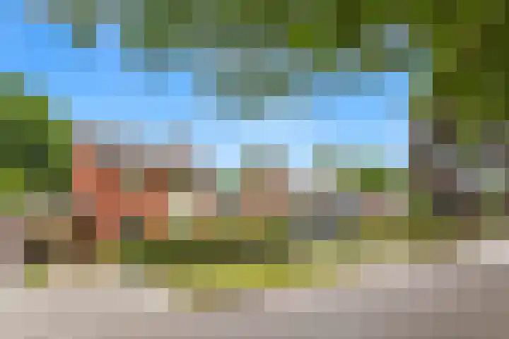 Beukenlaan 7 Oudenbosch thumbnail 4