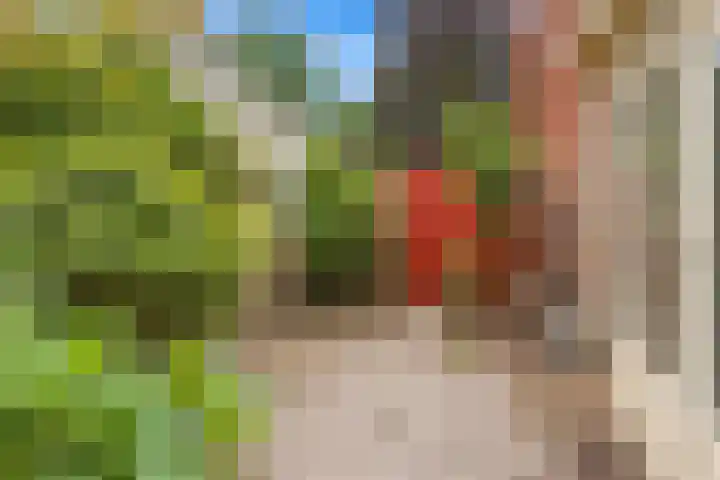 Beukenlaan 7 Oudenbosch thumbnail 7