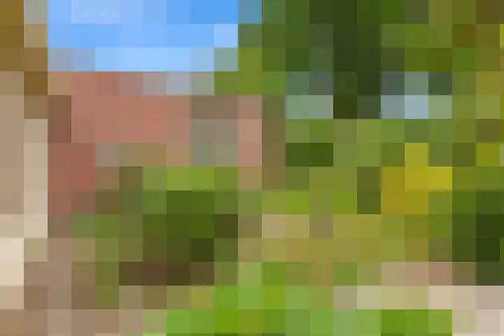 Beukenlaan 7 Oudenbosch thumbnail 8