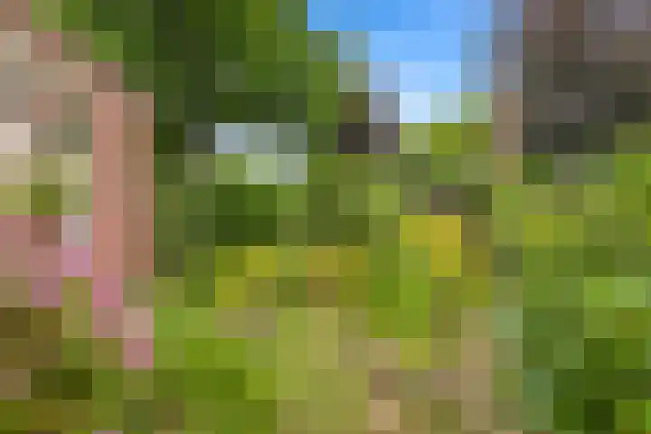 Beukenlaan 7 Oudenbosch thumbnail 9