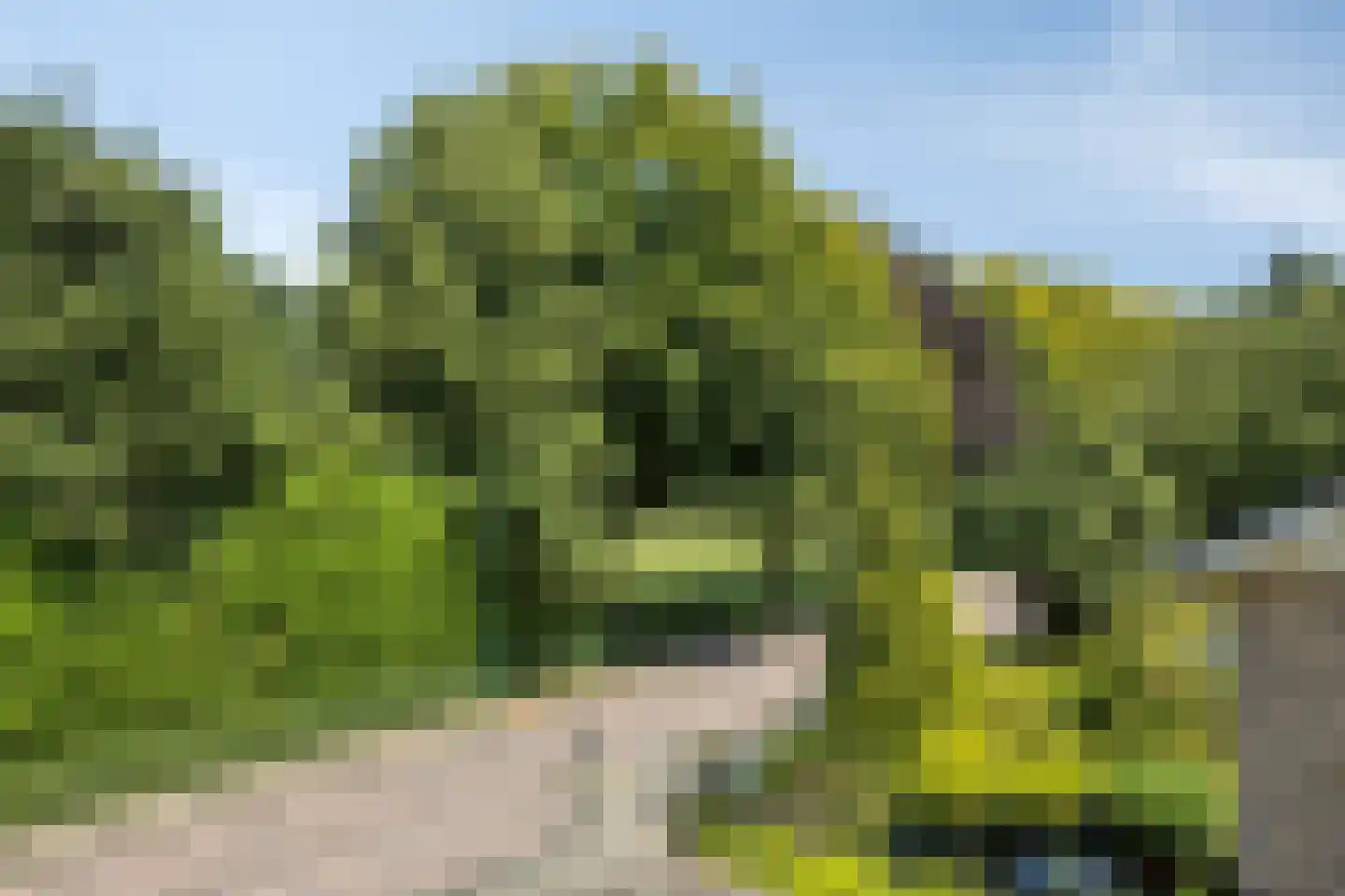 Beukenlaan 70 A Rhenen thumbnail 34