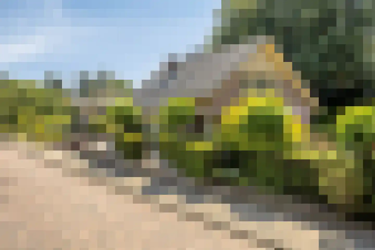 Beukenlaan 70 A Rhenen thumbnail 43