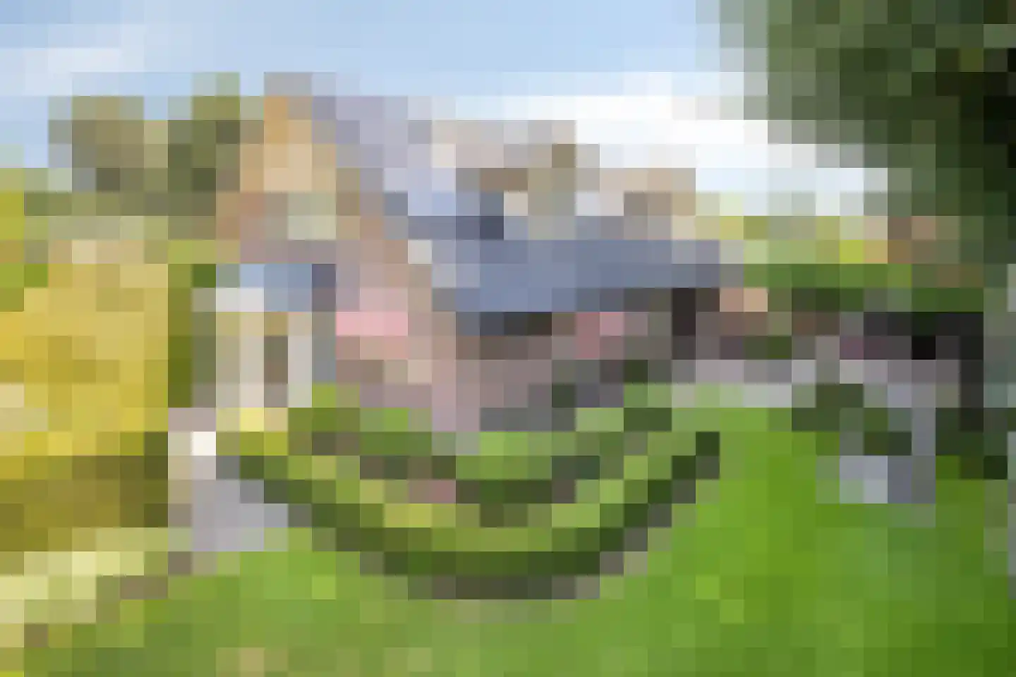 Beukenlaan 70 A Rhenen thumbnail 45