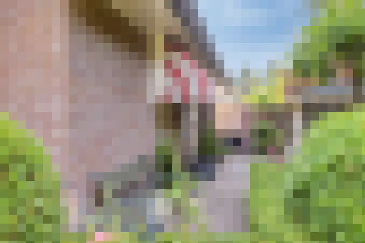 Beukenlaan 70 A Rhenen thumbnail 46